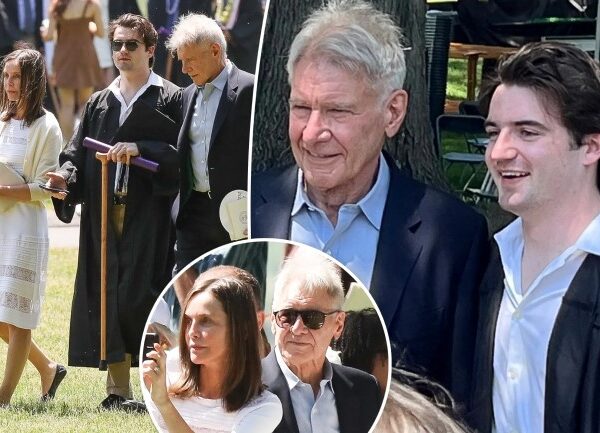 Harrison Ford Son Liam: A Deep Dive into the Life of Liam Flockhart